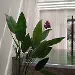 My Hotel Al Lathba Pool Villa - Nizwa فيلا اللثبه-نزوى